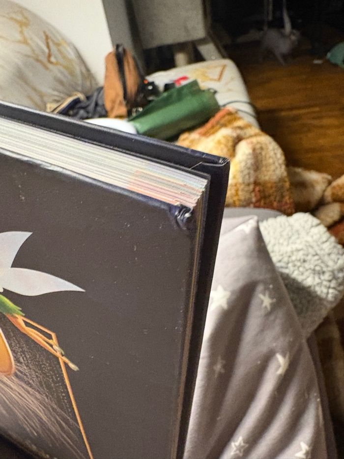 Livre sur 20 ans de Disneyland Paris - photo numéro 4