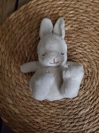 Doudou lapin dormeur