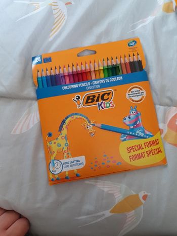 24 Crayons de couleurs évolution bic