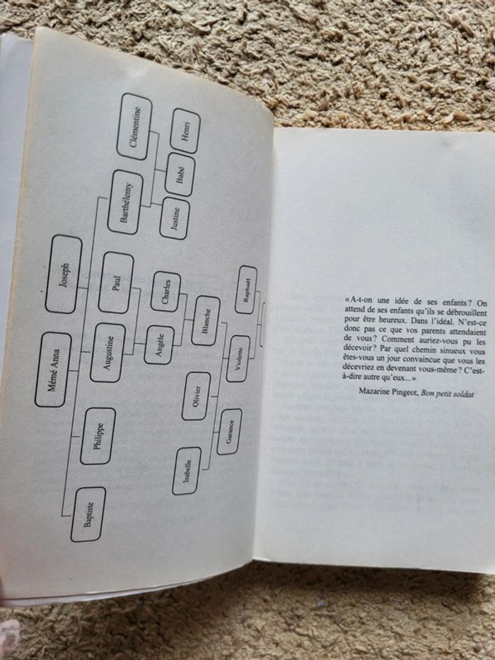 Roman Si j’ai bonne mémoire – Anne Icart - photo numéro 4