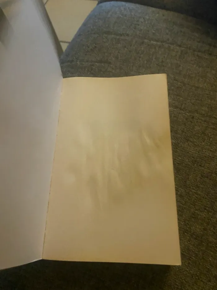 Roman “November 9” Colleen Hoover 📚 New Romance - photo numéro 2