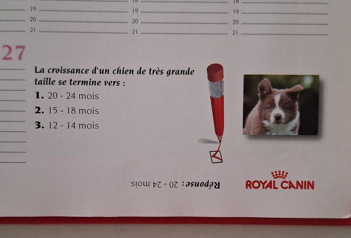 Superbe agenda collector 2009-2010 Royal Canin - photo numéro 3