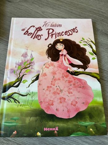 Livre 16 histoires de belles princesses 