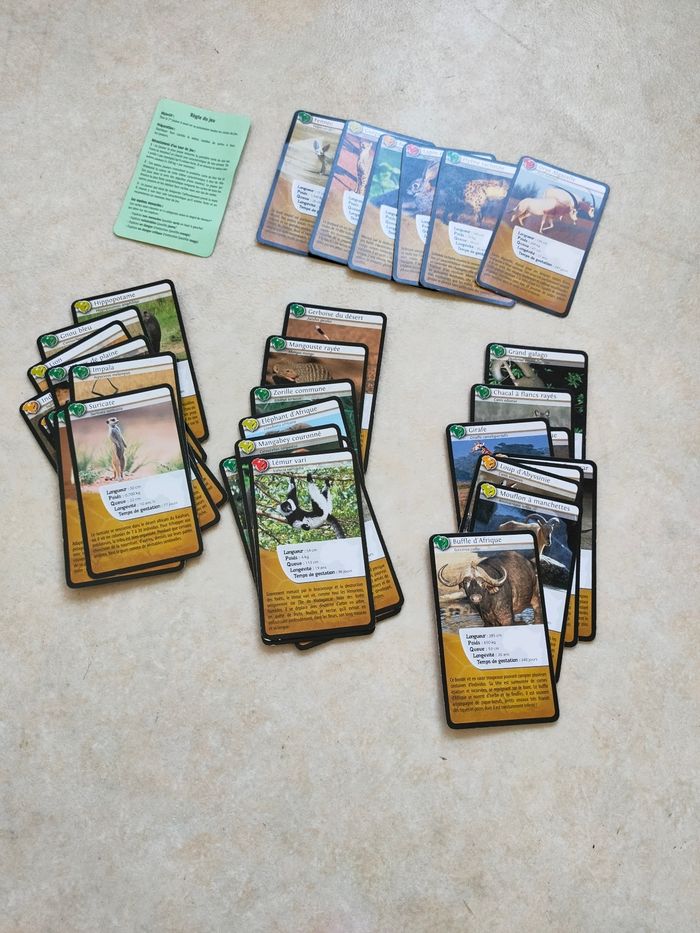 Jeu Défis Nature Afrique – Bioviva - photo numéro 4