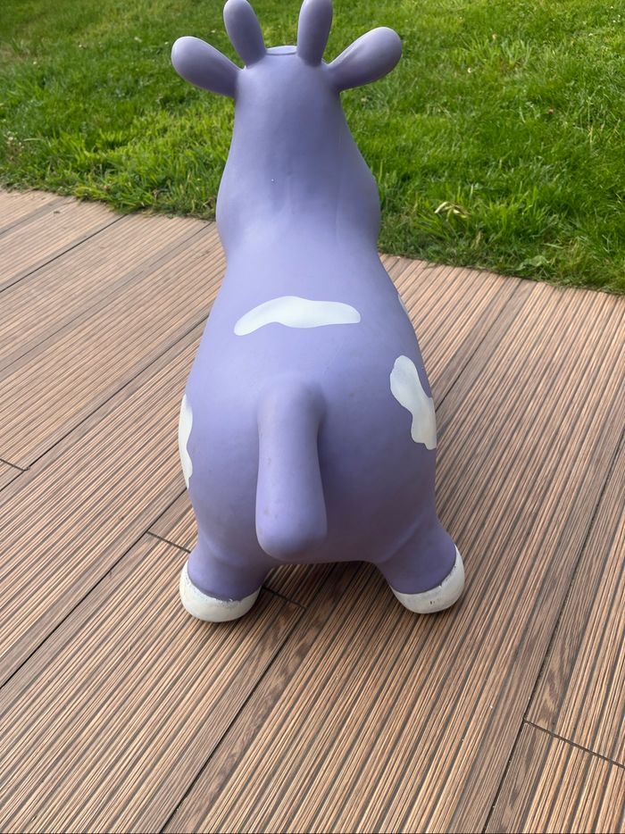 Vache sauteuse - photo numéro 4