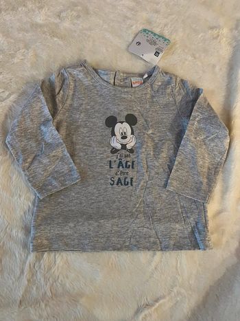 sweat mickey disney