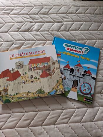 Lot de 2 livres sur les châteaux forts