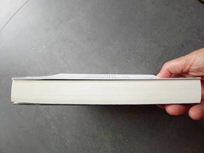 Livre la datcha - photo numéro 4