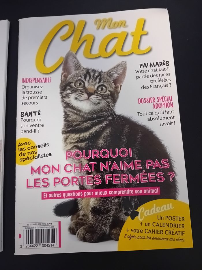Lot 2 magazines chats - photo numéro 3