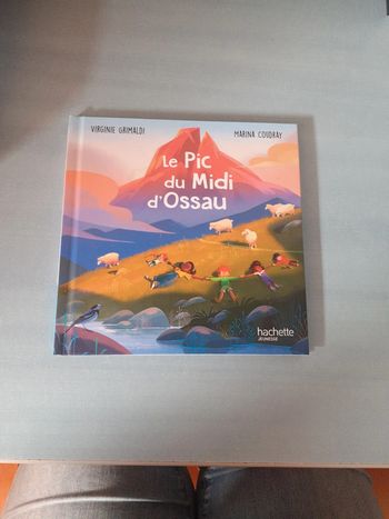 Livre pour enfant le Pic du Midi d Ossau