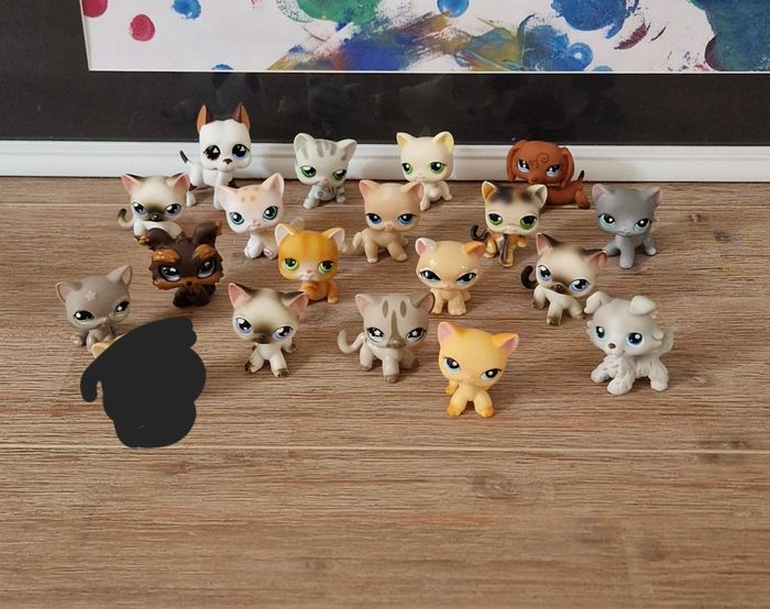 Petshop