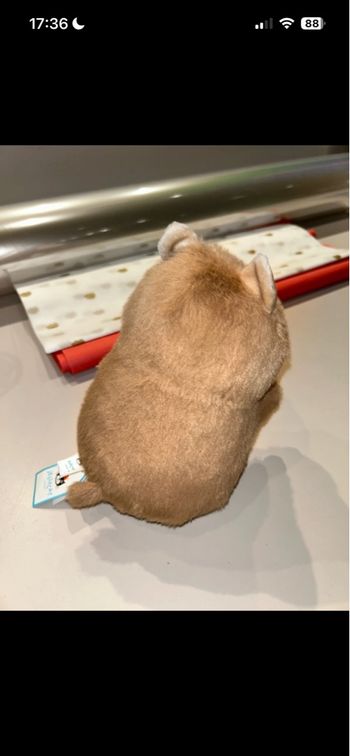 Peluche jellycat gordy guinea pig