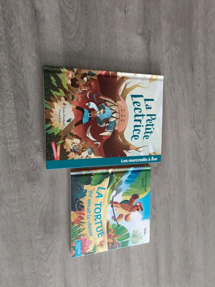 Lot de 2 livres jeunesse McDonald's – Bon et très bon état