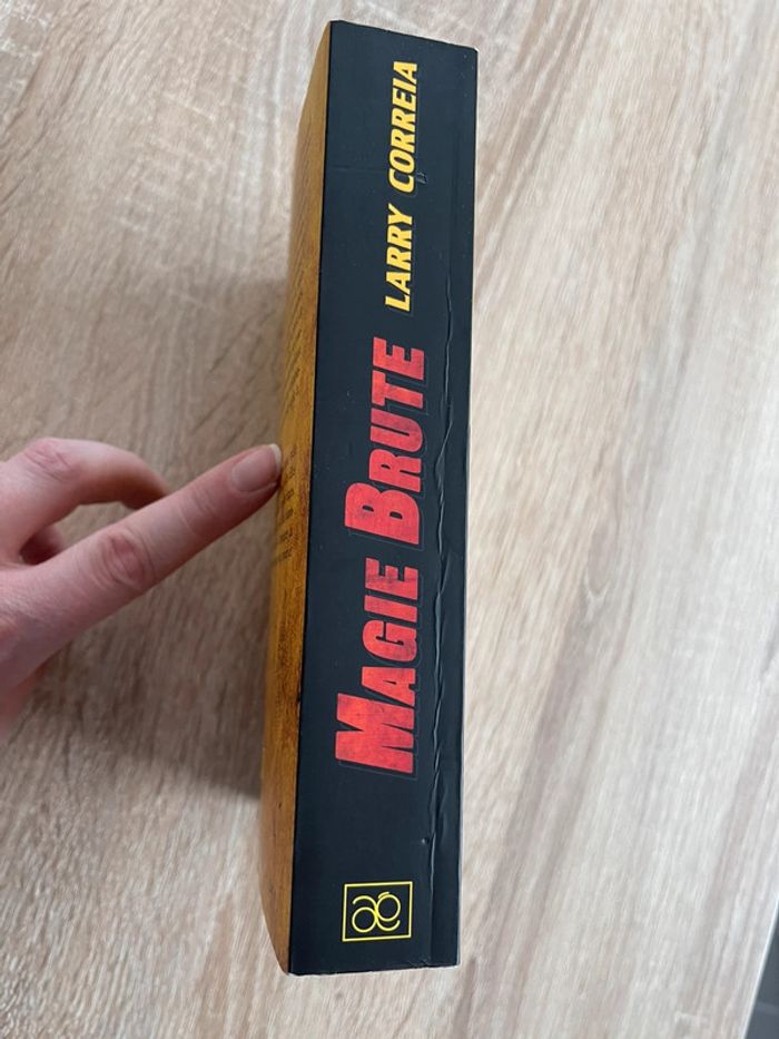 Magie Brute - Chroniques du Grimnoir - photo numéro 2