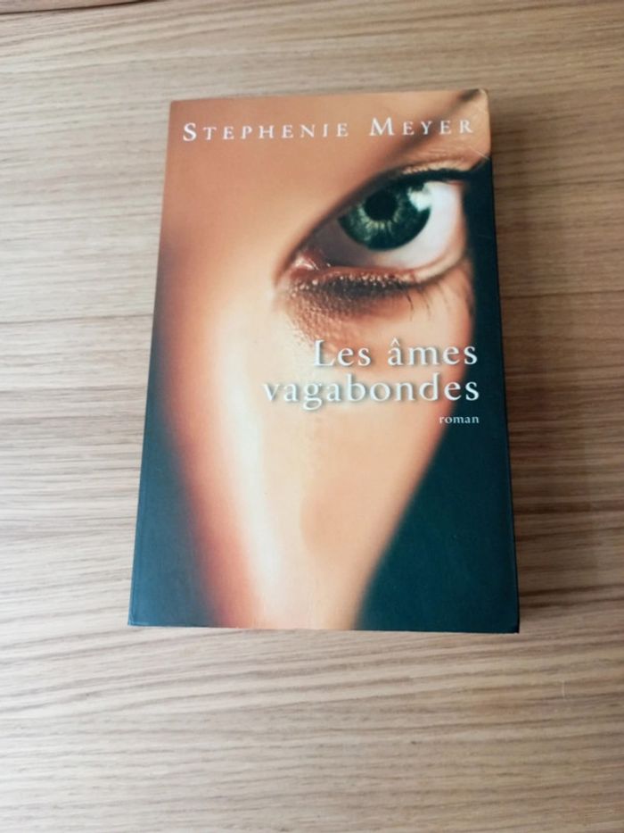 Roman les âmes vagabondes