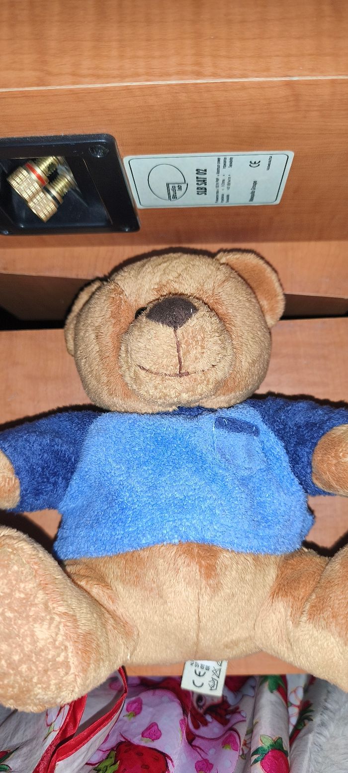 Teddy Bear - photo numéro 3