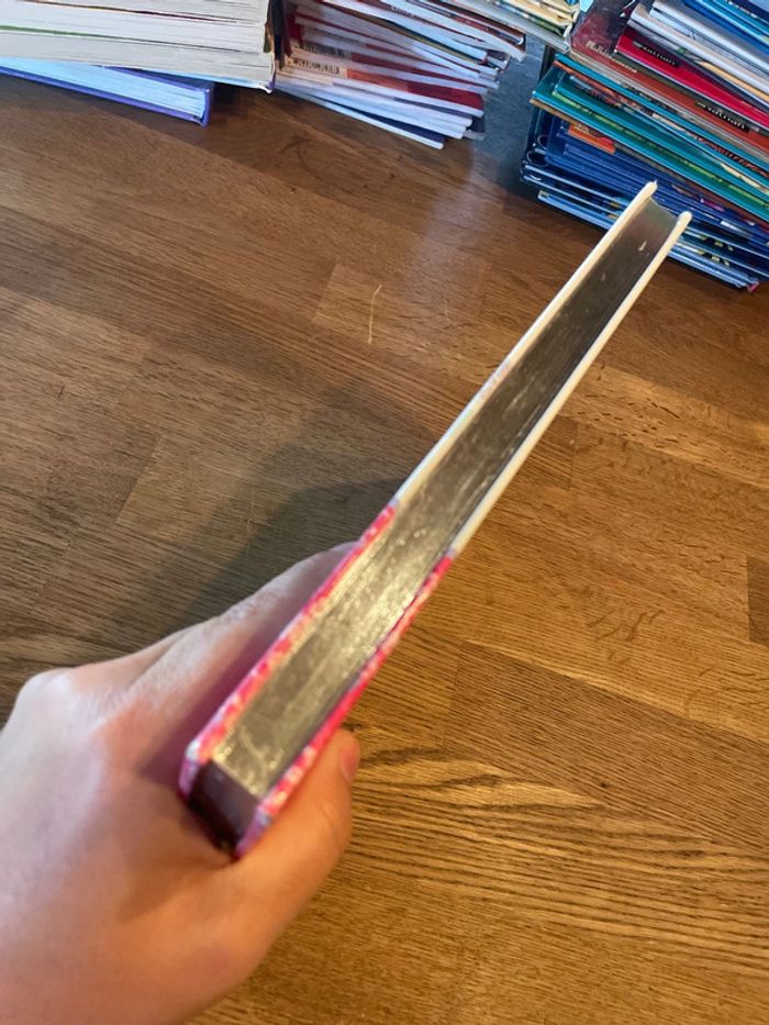 Livre Minimiki Mini Miki découvre le monde Histoires du soir pour jolies princesses - photo numéro 5