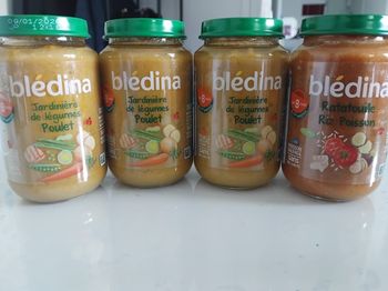 Bledina