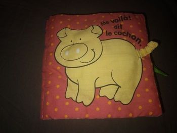 Livre en tissu en TBE