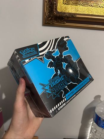 ETB 10,5 FOUDRE NOIRE