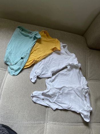 Lot 5 bodies manches courtes