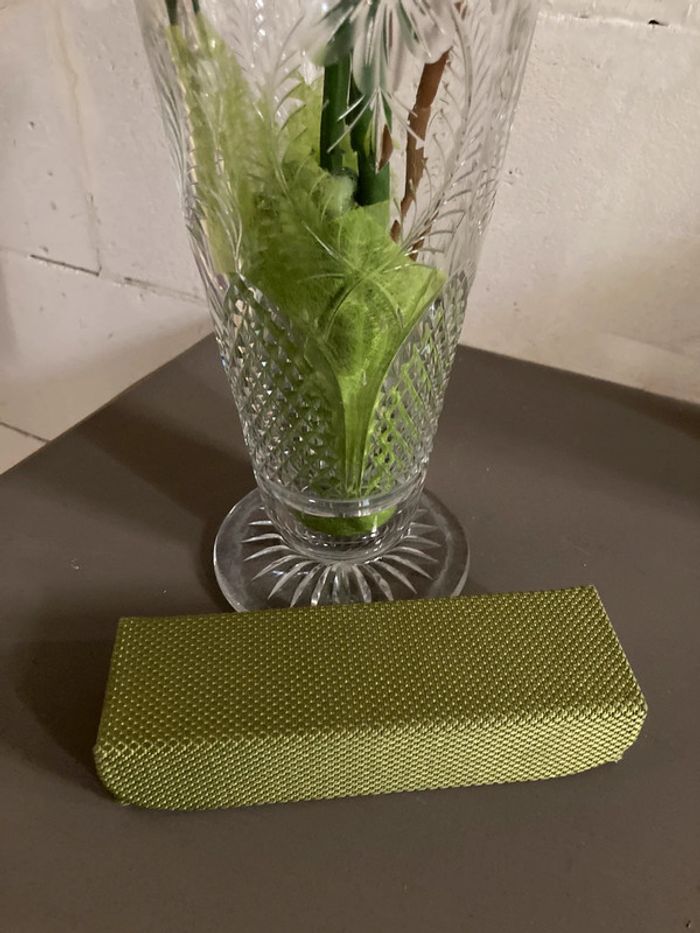 Étui à  lunettes vert