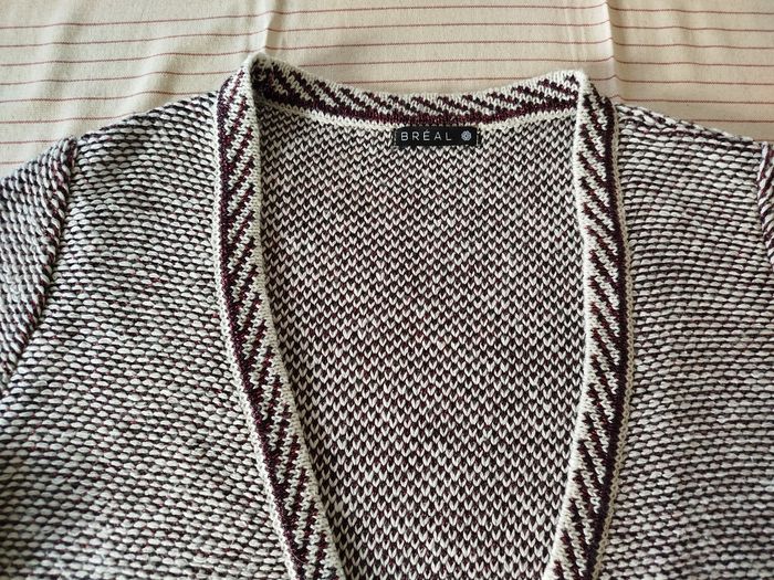 Gilet ou cardigan Bréal taille 2 - photo numéro 3