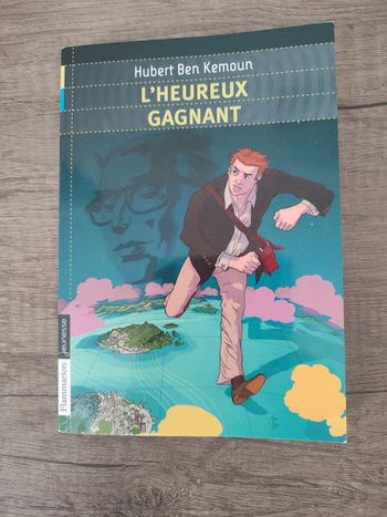 Livre " l'heureux gagnant " Hubert Ben Kemoun édition Flammarion jeunesse