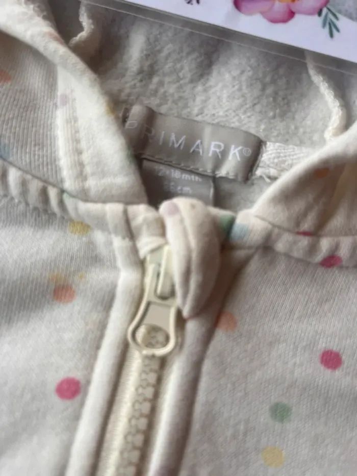 Pull sweat à capuche primark 18 mois - photo numéro 2