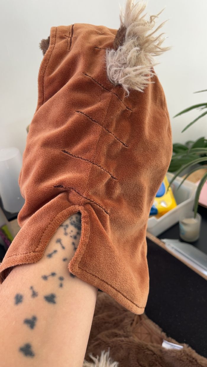 Costume Wicket pour bébé, Star Wars 3 mois - photo numéro 4