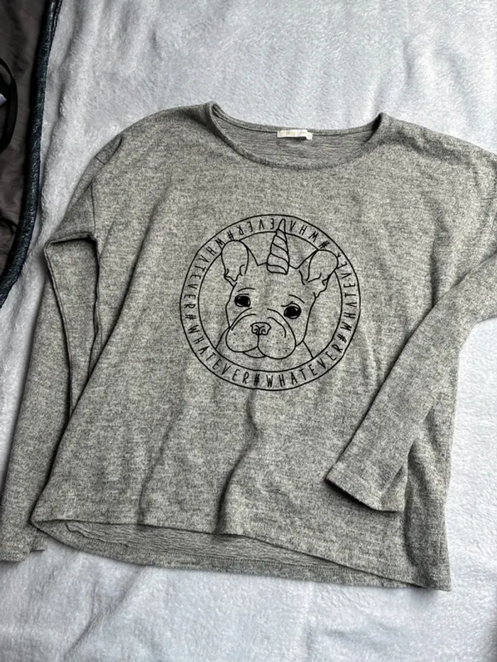 Pull gemo 16 ans - photo numéro 2