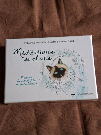 Méditation de chats 