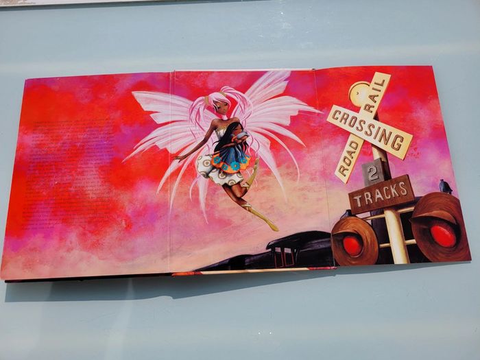 Très beau livre grand format Magiciennes du Monde (64) - photo numéro 16