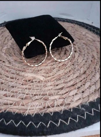 Boucles D'oreilles  créoles U4