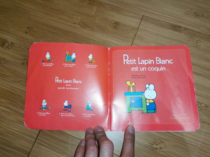 Petit Lapin Blanc est un coquin - photo numéro 4