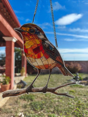 Attrape Soleil Rouge Gorge