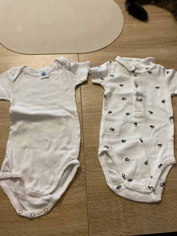 Lot de 2 bodies manche courte taille 6 mois
