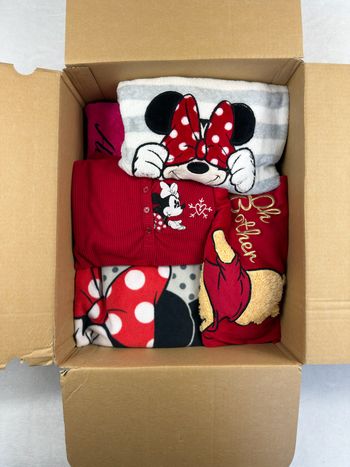 LOT REVENDEUR | Haut d'hiver Disney | GRADE A | MIX