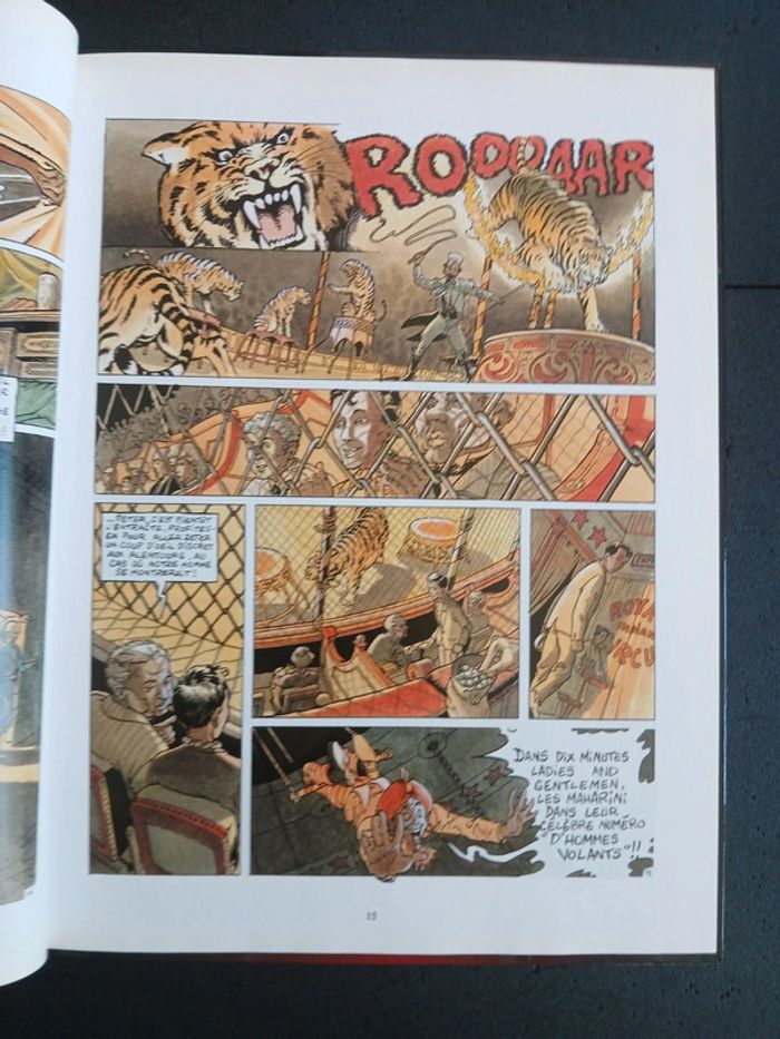 Bd le cycle de golden tiger,EO - photo numéro 7