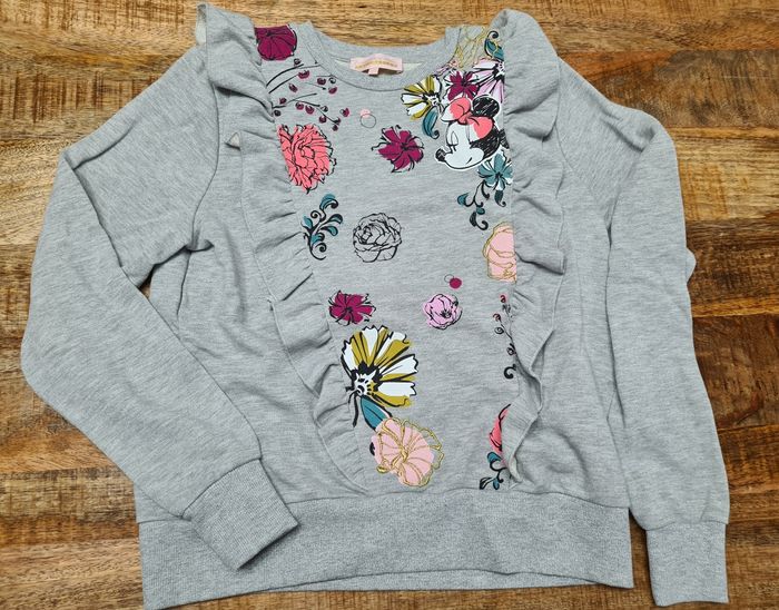 Sweat pull Disney acheté au parc Taille S neuf