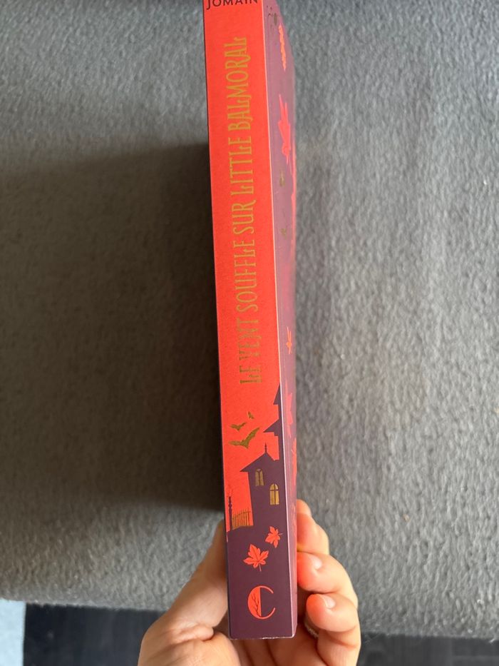 Le vent souffle sur Little Balmoral - photo numéro 3