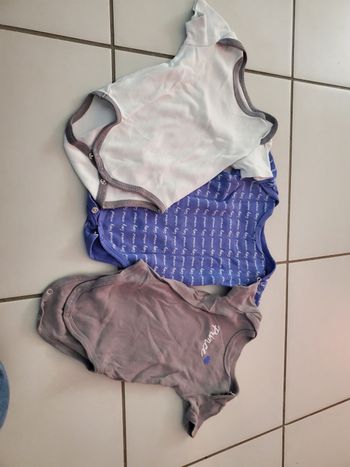 Lot de 3 bodies manche courte