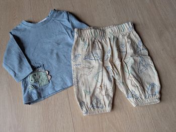 Ensemble dinosaure ergee 50 cm