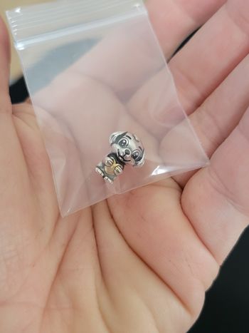 Charms chien petit coeur argent