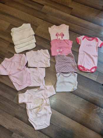 Lot de 13 bodys. Fille. Taille 6 mois. Petit Bateau, Tex, Disney, Pitchoun. TBE