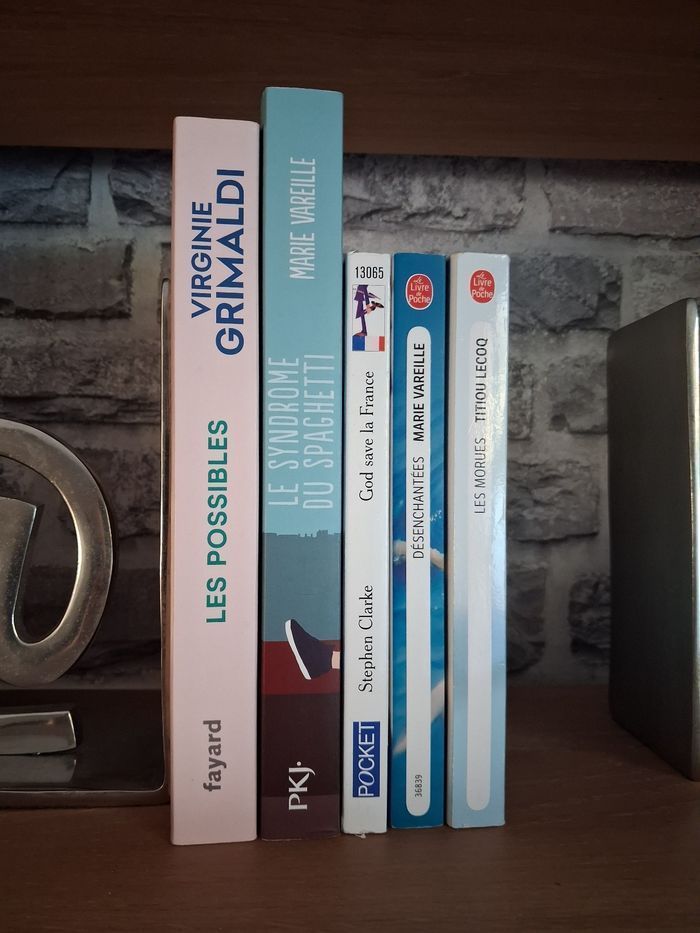 Lot 2 romans Feel Good - Virginie Grimaldi et Stephen Clarke - photo numéro 3