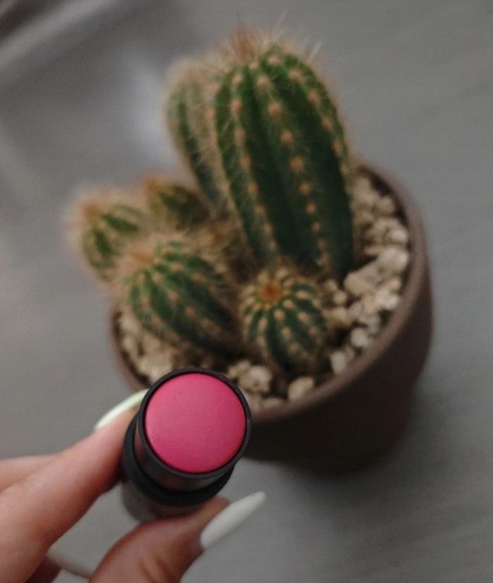 Bare You - Madly Magenta - Younique - photo numéro 3