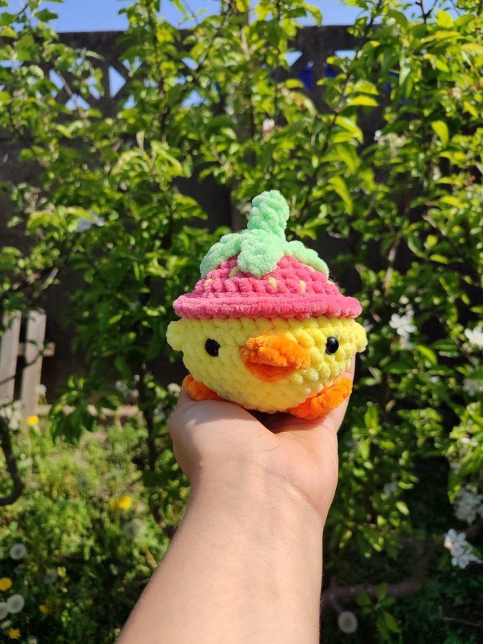 Fruity - Poussin au Chapeau-Fraise