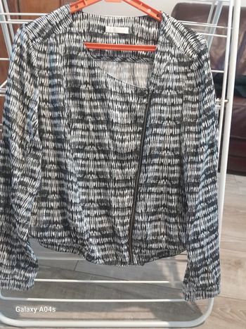 Blouse blouson