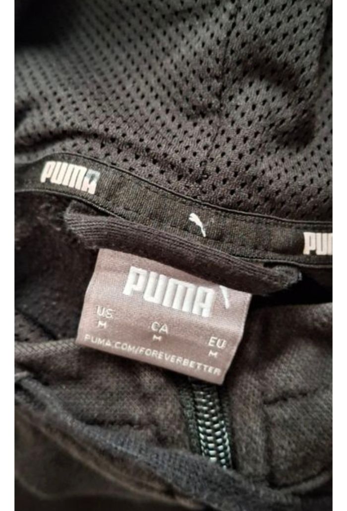 Jogging puma - photo numéro 4
